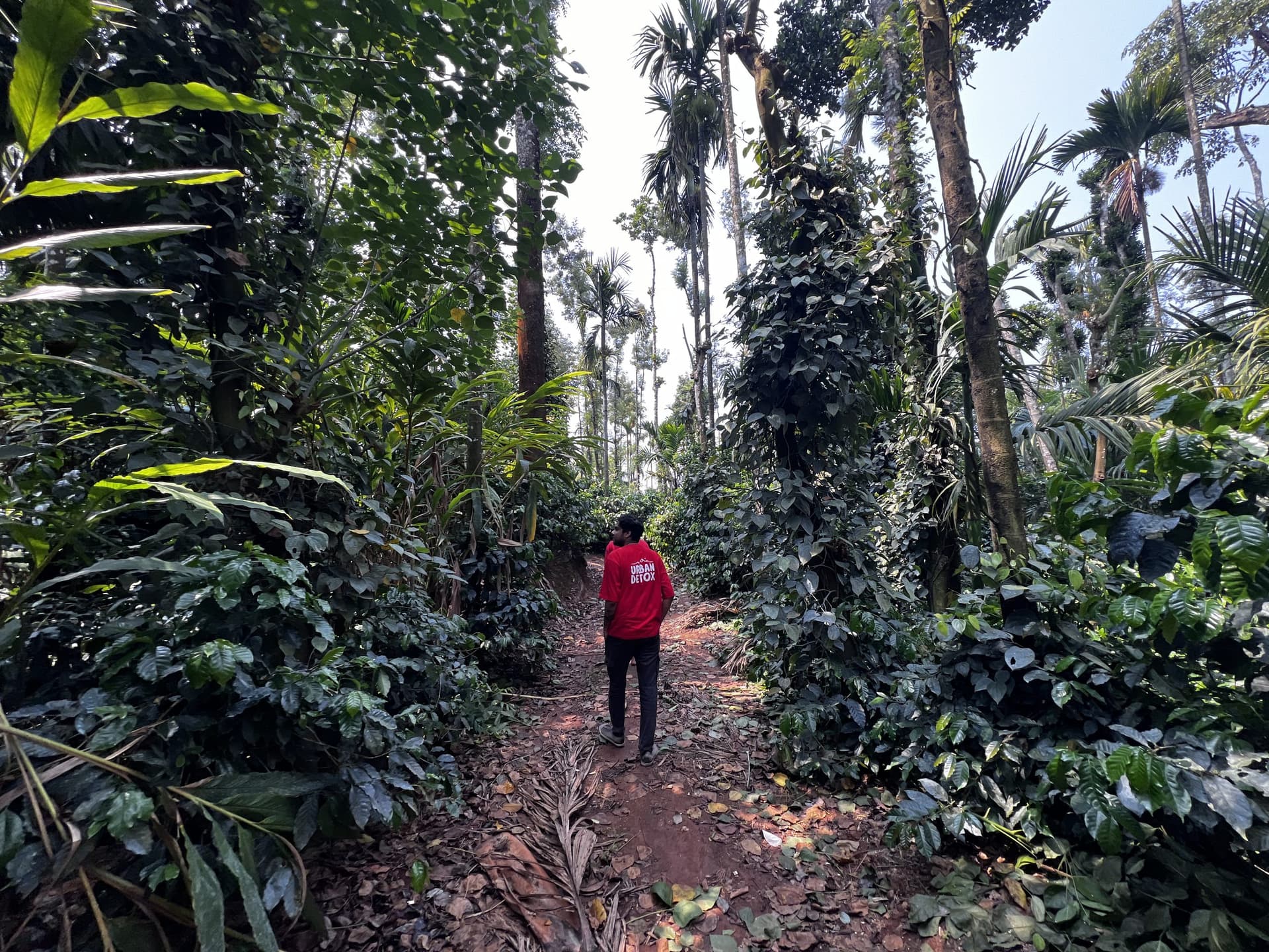 Chikmagalur